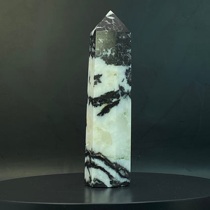 Zebra Jasper Point #16