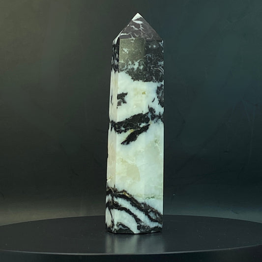 Zebra Jasper Point #16