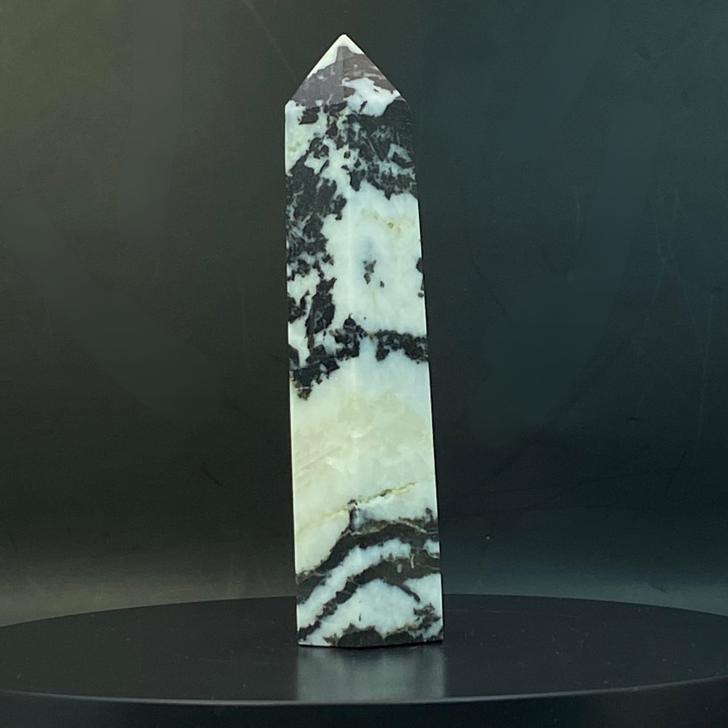 Zebra Jasper Point #16