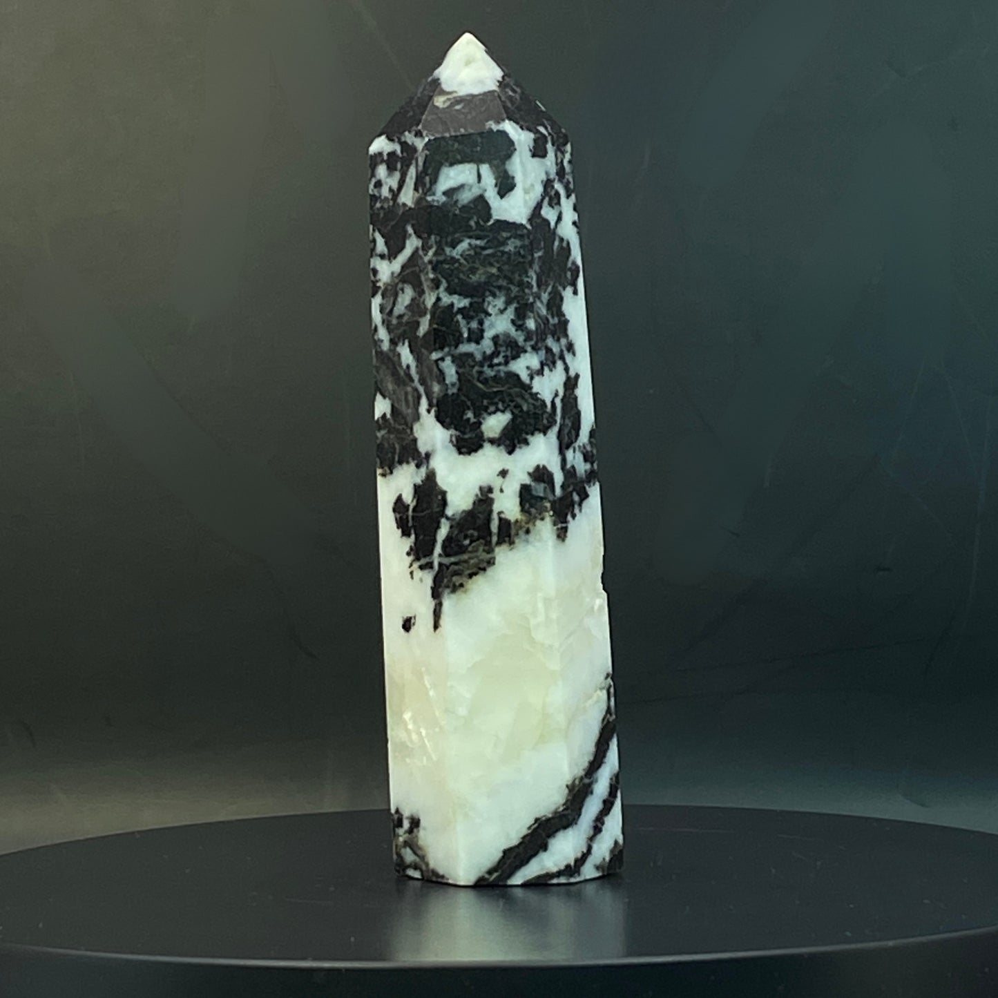 Zebra Jasper Point #16