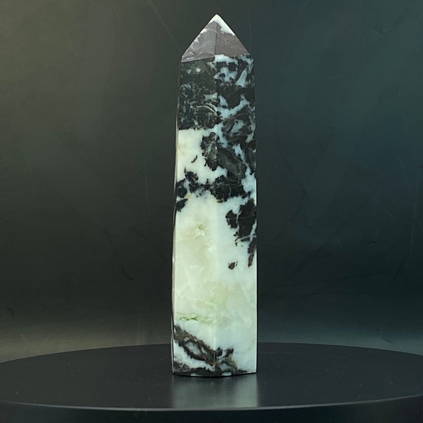 Zebra Jasper Point #16