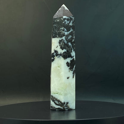 Zebra Jasper Point #16