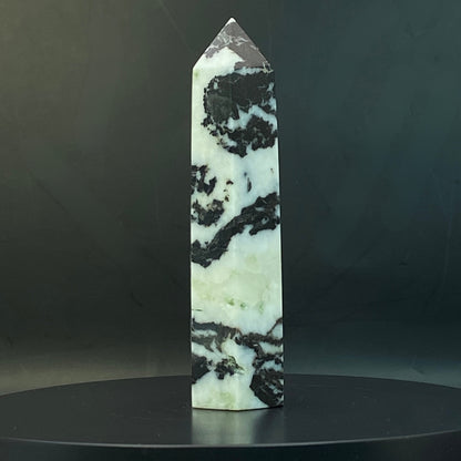 Zebra Jasper Point #17