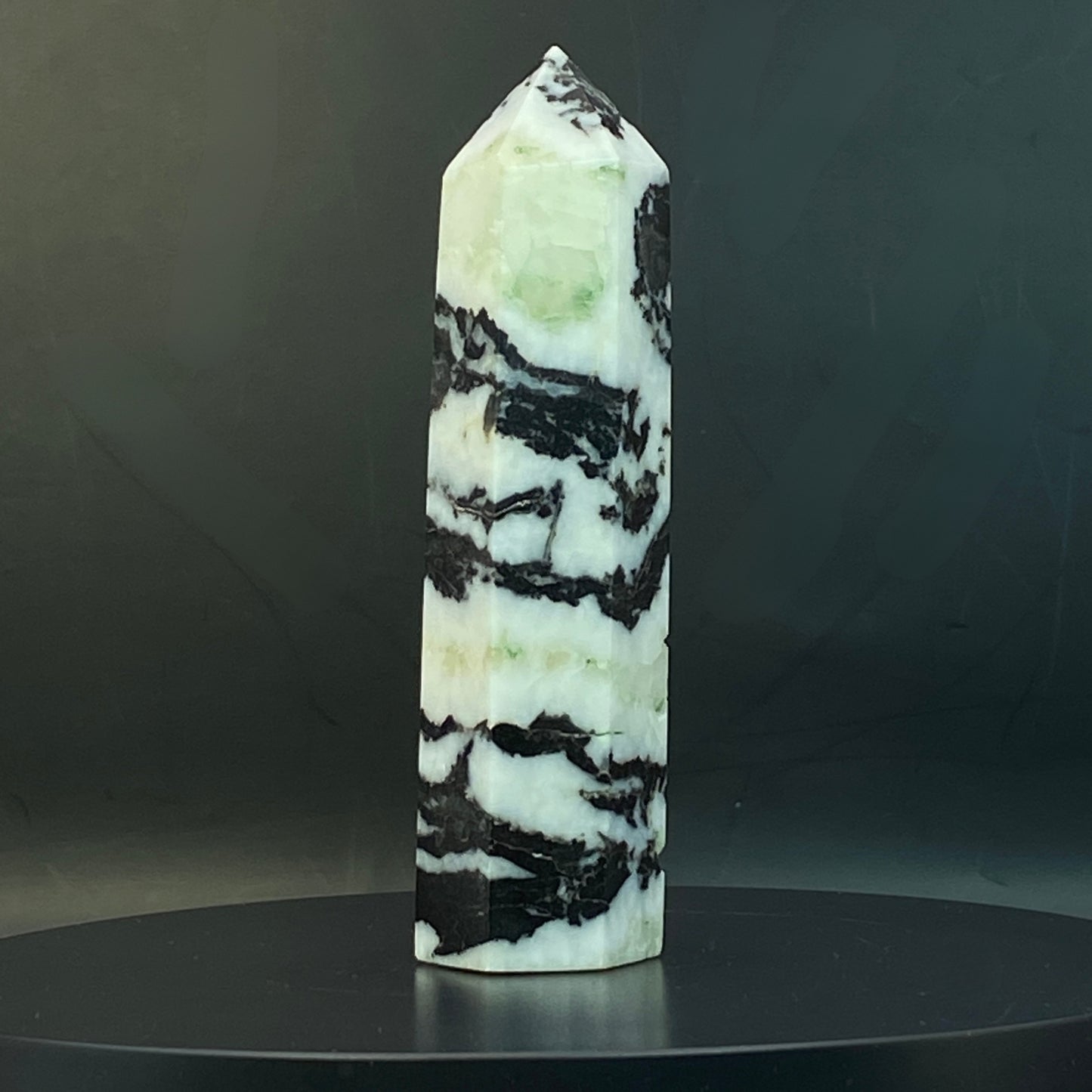 Zebra Jasper Point #17