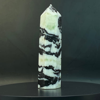 Zebra Jasper Point #17