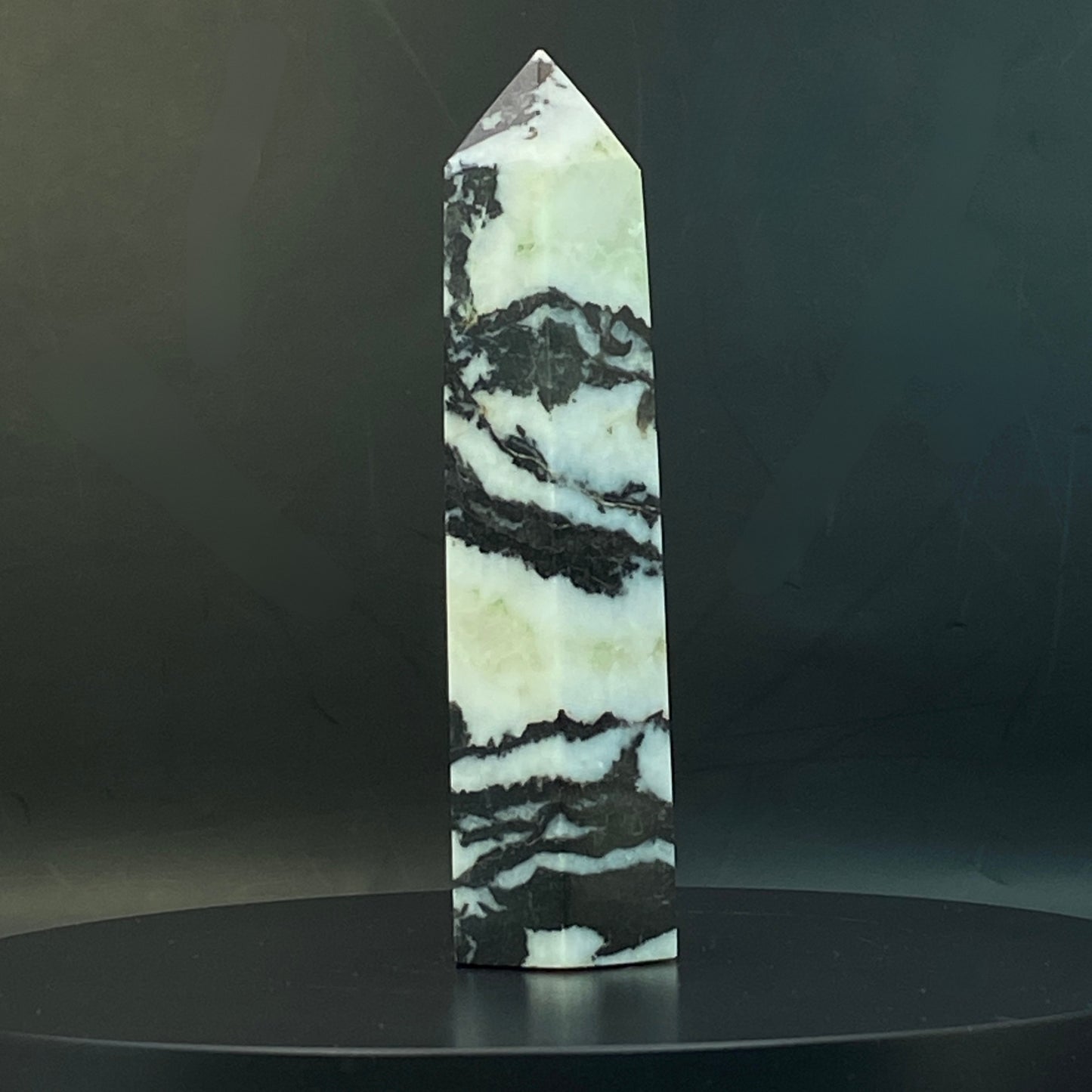 Zebra Jasper Point #17