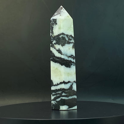 Zebra Jasper Point #17