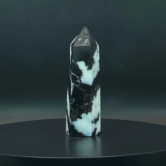 Zebra Jasper Point #5