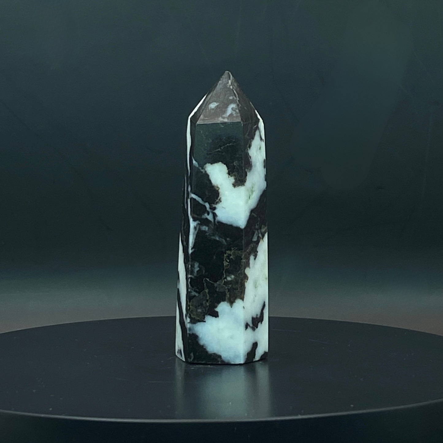 Zebra Jasper Point #5