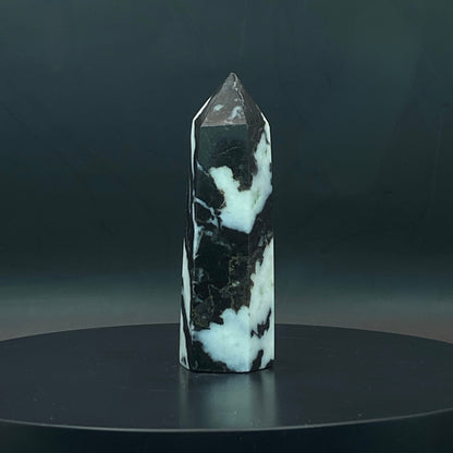 Zebra Jasper Point #5