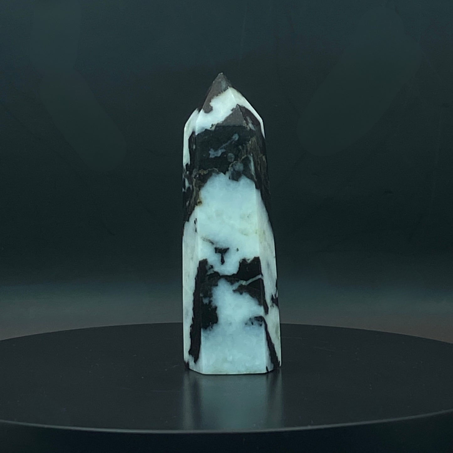 Zebra Jasper Point #5