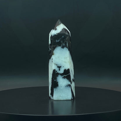 Zebra Jasper Point #5