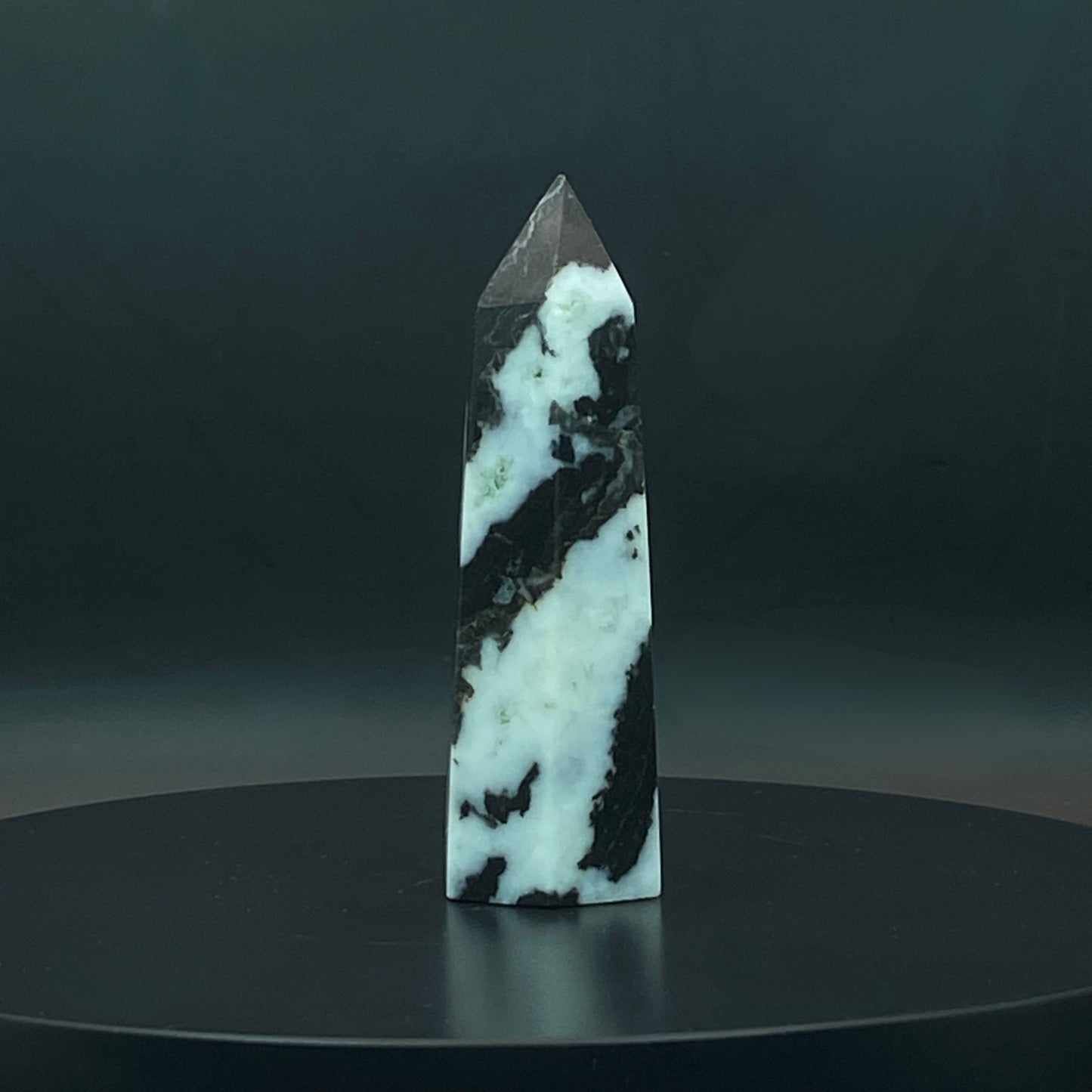 Zebra Jasper Point #5