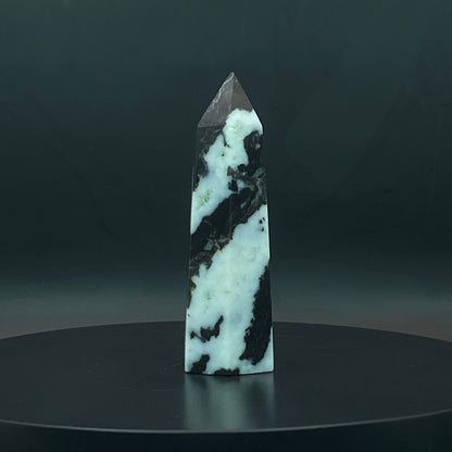 Zebra Jasper Point #5