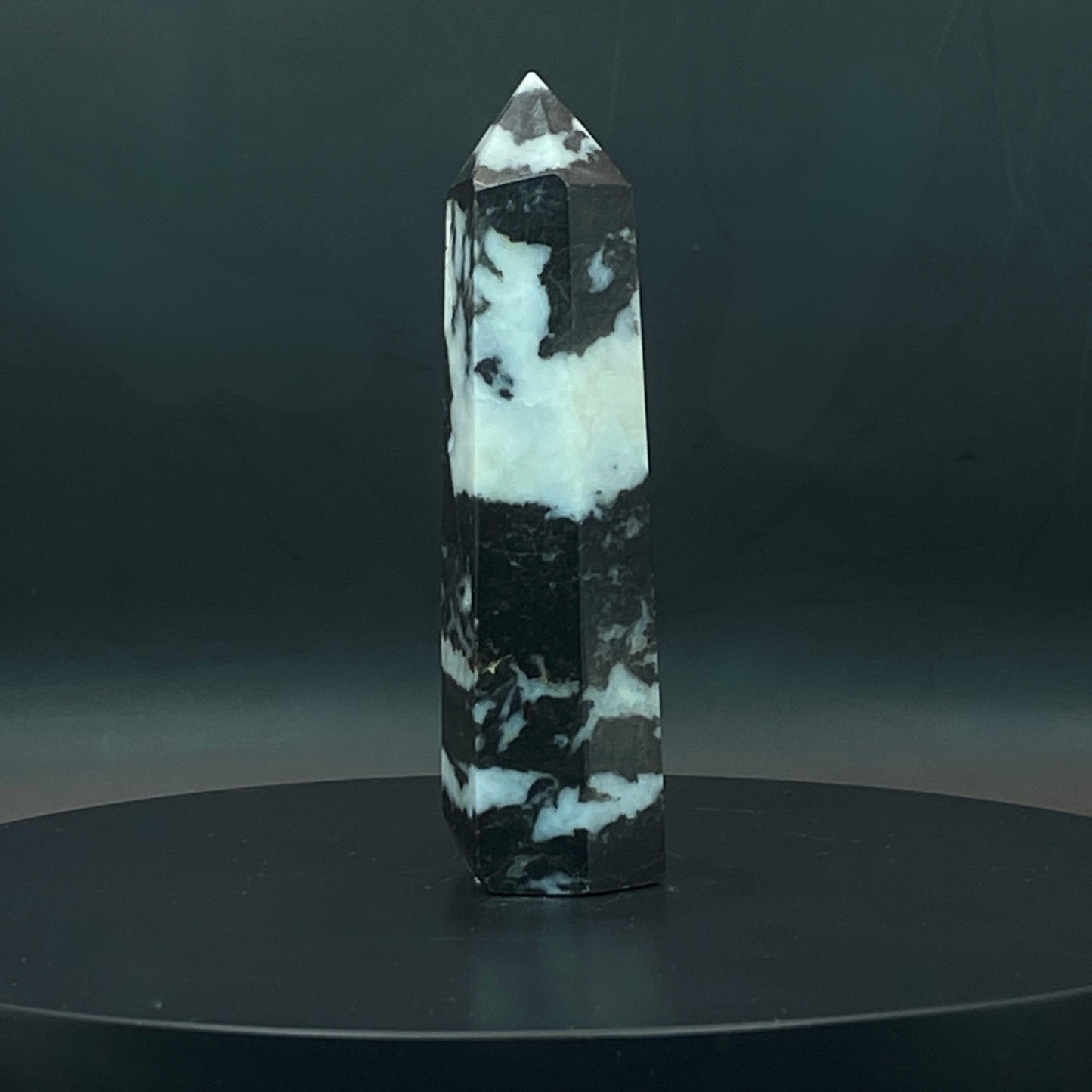 Zebra Jasper Point #6