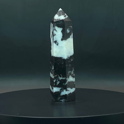 Zebra Jasper Point #6