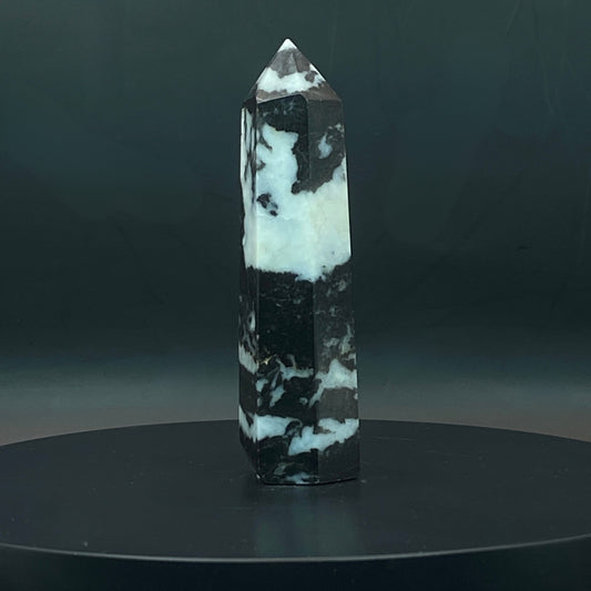 Zebra Jasper Point #6