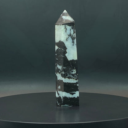 Zebra Jasper Point #6