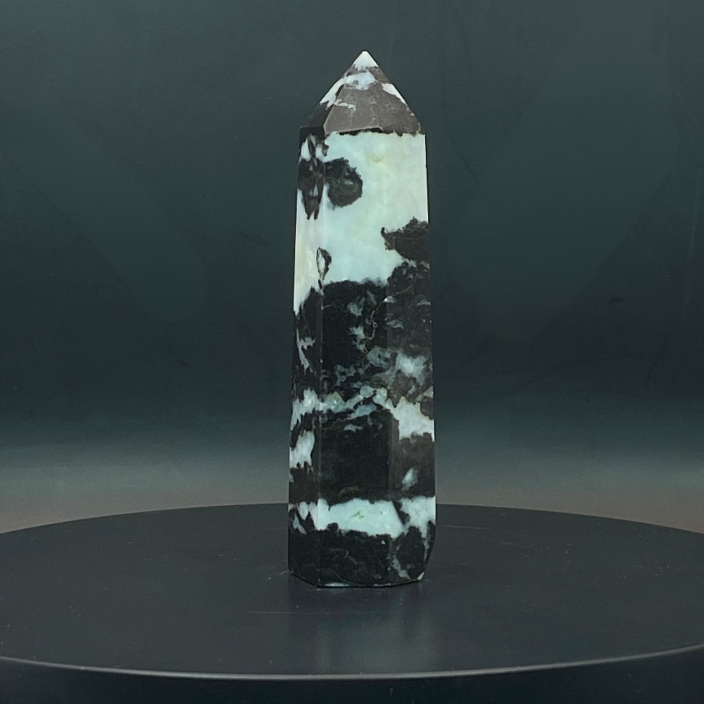 Zebra Jasper Point #6