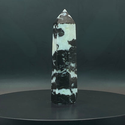 Zebra Jasper Point #6