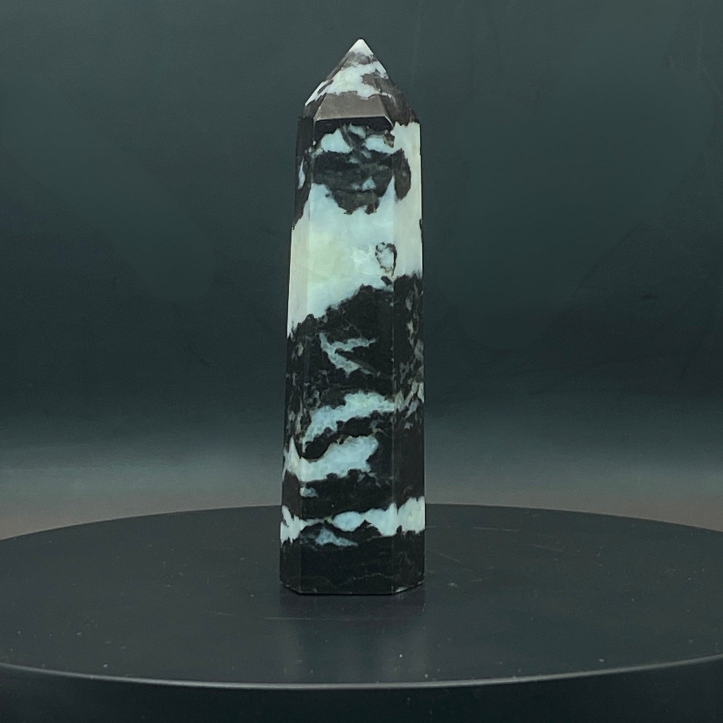 Zebra Jasper Point #6