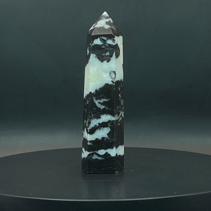 Zebra Jasper Point #6