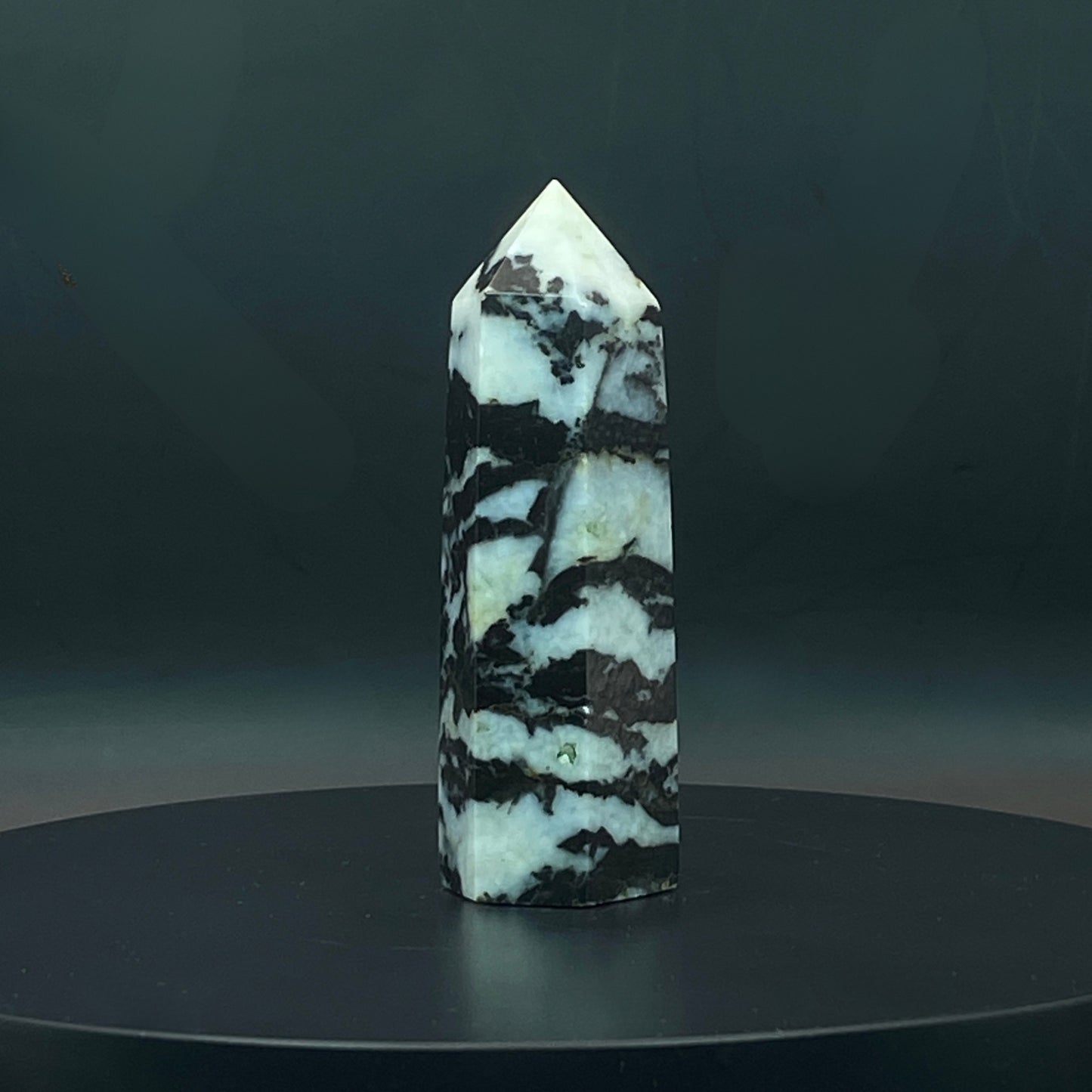 Zebra Jasper Point #7