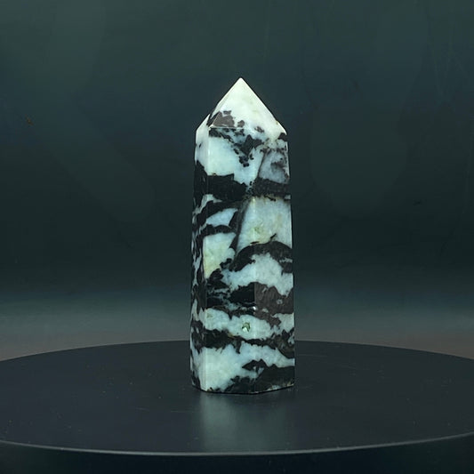 Zebra Jasper Point #7