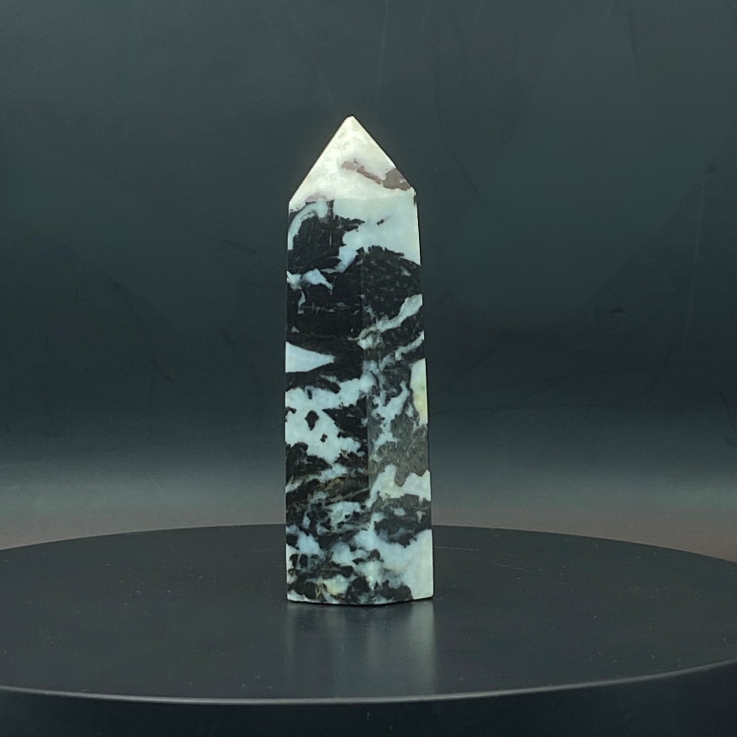 Zebra Jasper Point #7
