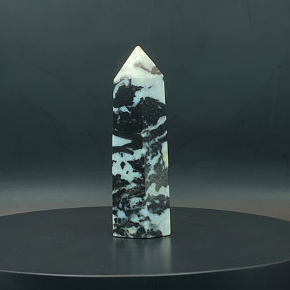 Zebra Jasper Point #7