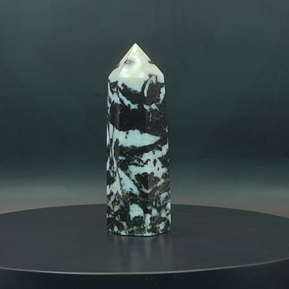 Zebra Jasper Point #7
