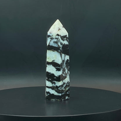Zebra Jasper Point #7