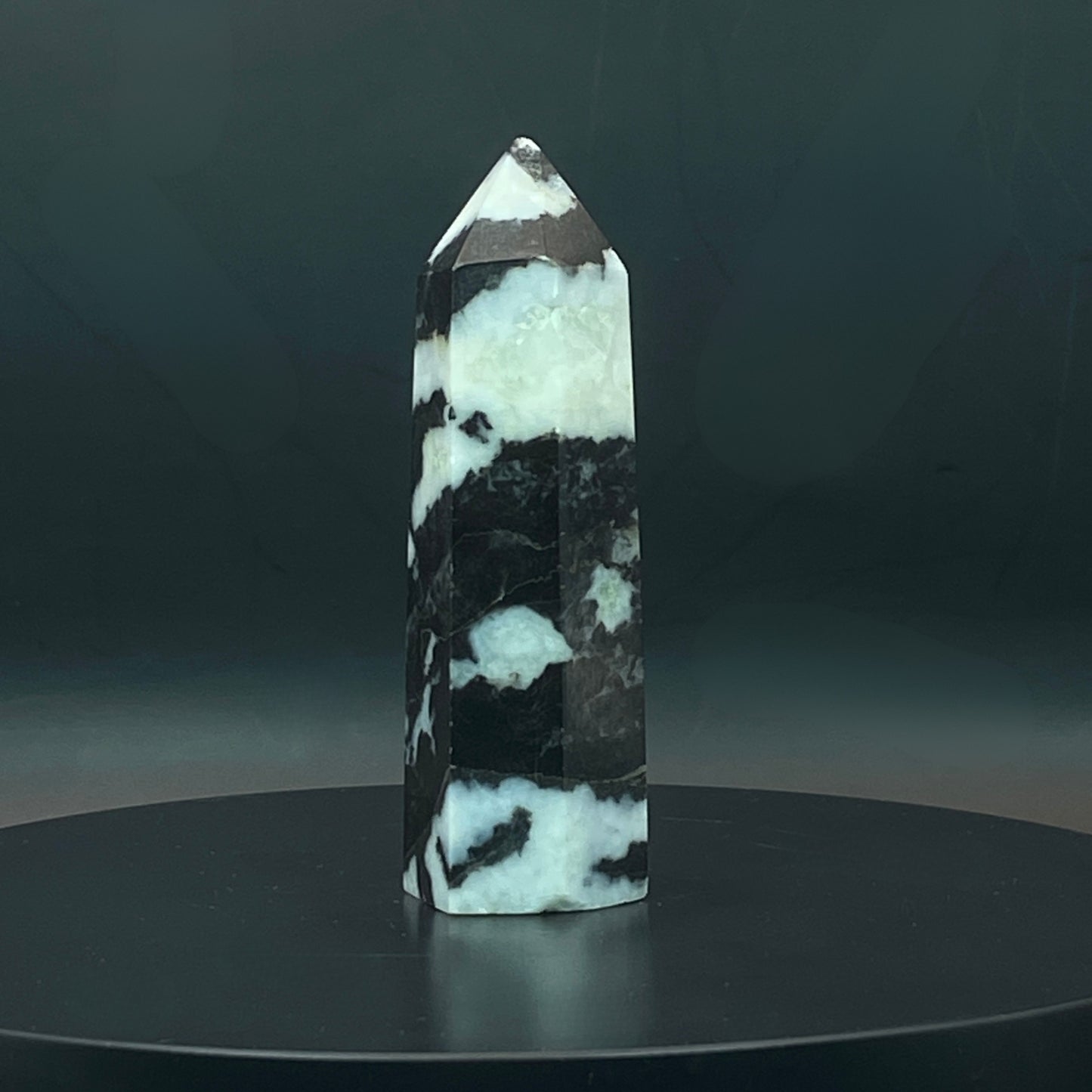 Zebra Jasper Point #8