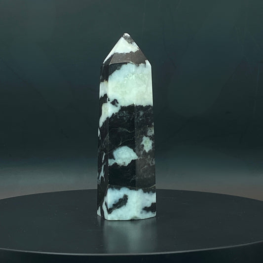Zebra Jasper Point #8