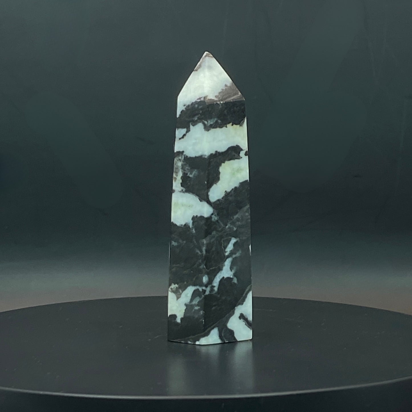 Zebra Jasper Point #8