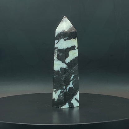 Zebra Jasper Point #8