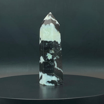 Zebra Jasper Point #8