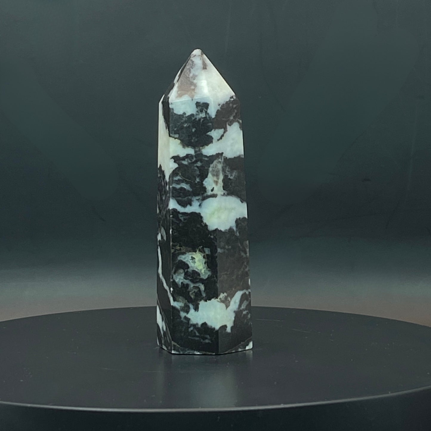 Zebra Jasper Point #8