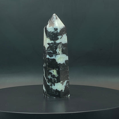 Zebra Jasper Point #8