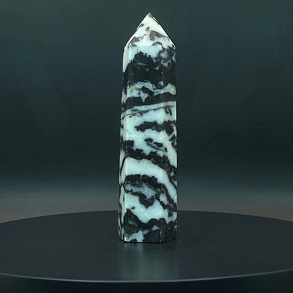Zebra Jasper Point #9