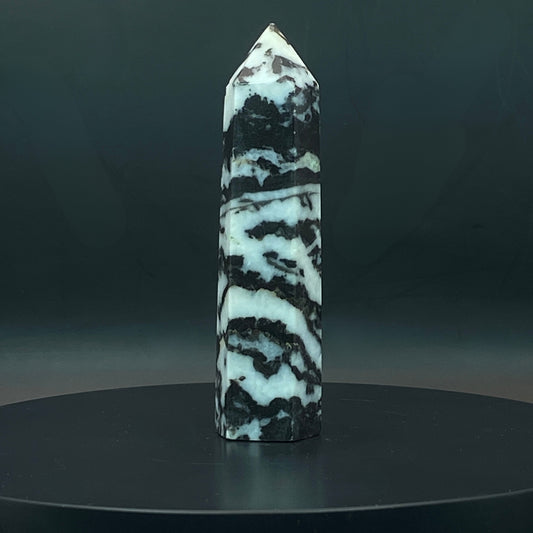 Zebra Jasper Point #9