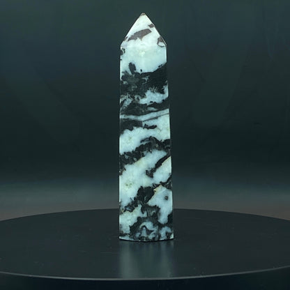 Zebra Jasper Point #9