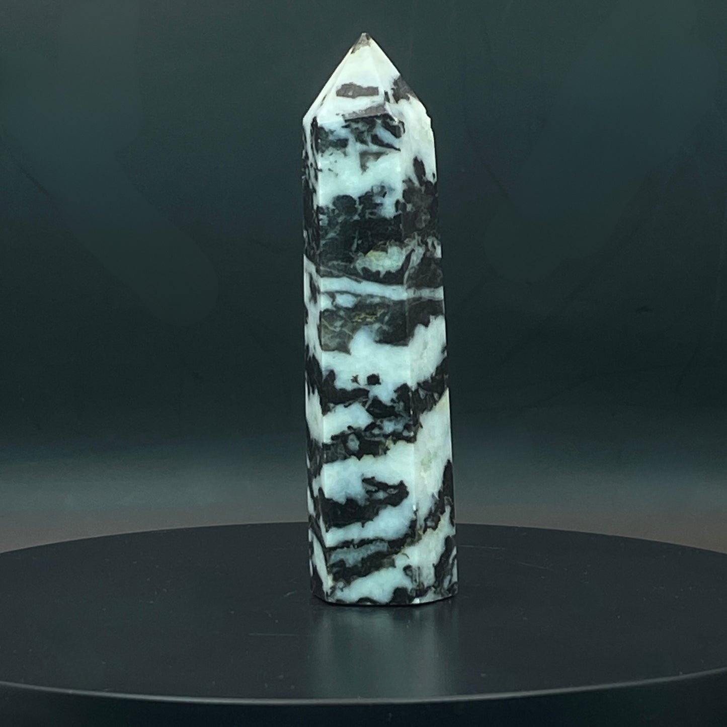 Zebra Jasper Point #9