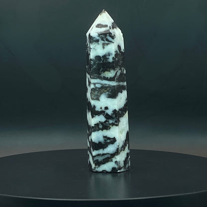 Zebra Jasper Point #9