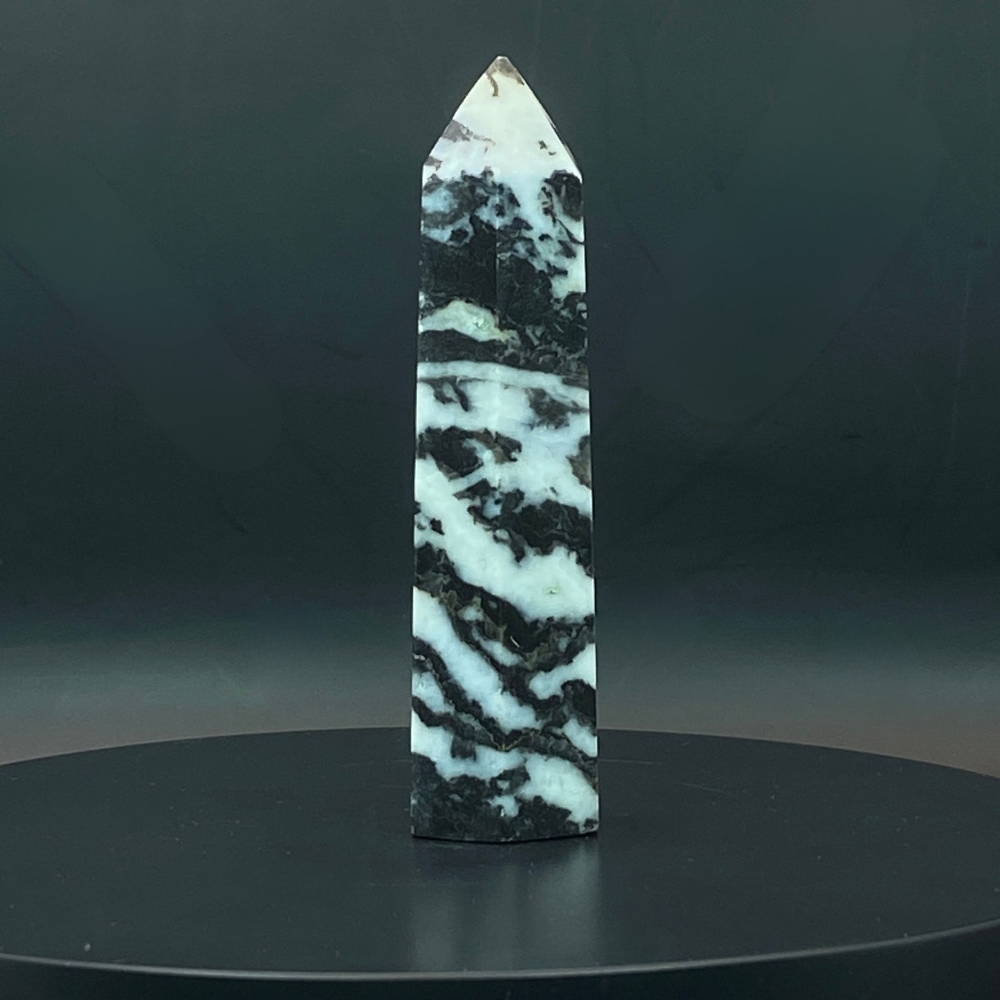 Zebra Jasper Point #9