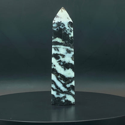 Zebra Jasper Point #9
