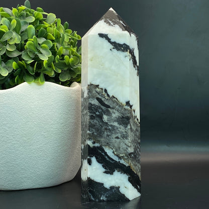 Zebra Jasper Tower #2