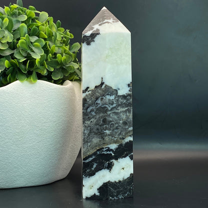 Zebra Jasper Tower #2